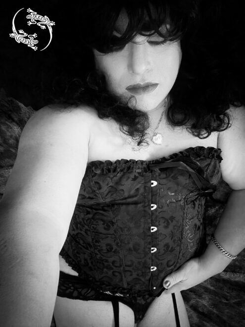⭑⚝ Monochrome Mon 02-23-26 ⚝⭑